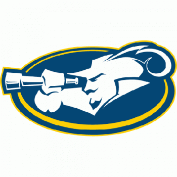 2004-Pres La Salle Explorers Alternate Logo Light Iron-on Stickers (Heat Transfers)