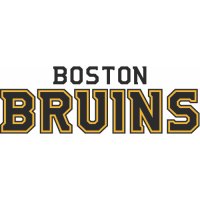 Boston Bruins Script Logo  Light Iron-on Stickers (Heat Transfers) version 1