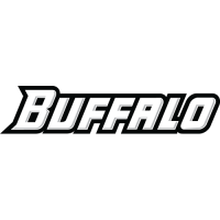 Buffalo Bulls 2007-Pres Wordmark Logo Light Iron-on Stickers (Heat Transfers)