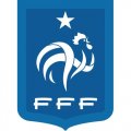 France Football Confederation Light Iron-on Stickers (Heat Transfers)