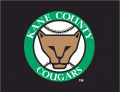 Kane County Cougars cap logo (1991-pres)Light Iron-on Stickers (Heat Transfers) 01