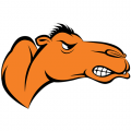 Campbell Fighting Camels 2005-Pres Partial Logo Light Iron-on Stickers (Heat Transfers)