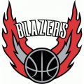 Portland Trail Blazers Alternate Logo  Light Iron-on Stickers (Heat Transfers)