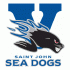 2009 10 Saint John Sea Dogs Anniversary Logo Light Iron-on Stickers (Heat Transfers)