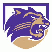 2008-Pres Western Carolina Catamounts Secondary Logo Light Iron-on Stickers (Heat Transfers)