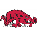 Arkansas Razorbacks 1976-1993 Alternate Logo Light Iron-on Stickers (Heat Transfers)