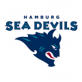 Hamburg Sea Devils 2005-2007 Alternate Logo Light Iron-on Stickers (Heat Transfers)