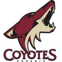 Phoenix Coyotes Alternate Logo  Light Iron-on Stickers (Heat Transfers)