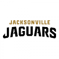 Jacksonville Jaguars 2013-Pres Wordmark Logo Light Iron-on Stickers (Heat Transfers)