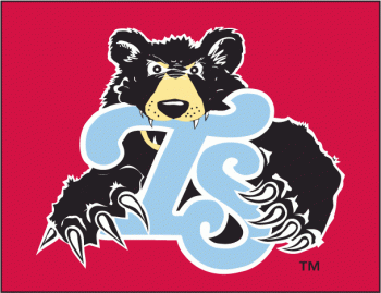 Tennessee Smokies Primary Logos 2