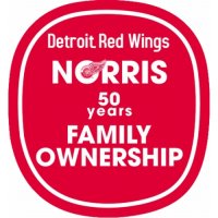 Detroit Red Wings Anniversary Logo  Light Iron-on Stickers (Heat Transfers)