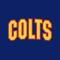 1994 95-Pres Barrie Colts Wordmark Logo Light Iron-on Stickers (Heat Transfers)