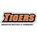 RIT Tigers 2004-Pres Wordmark Logo Light Iron-on Stickers (Heat Transfers)