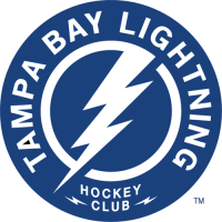 Tampa Bay Lightning 2011 12-Pres Secondary Logo Light Iron-on Stickers (Heat Transfers)