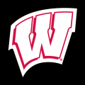 1991-Pres Wisconsin Badgers Alternate Logo Light Iron-on Stickers (Heat Transfers)