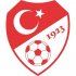 Turkey Football Confederation Light Iron-on Stickers (Heat Transfers)