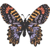 Butterfly Light Iron On Stickers (Heat Transfers) version 6