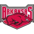 Arkansas Razorbacks 2001-2008 Alternate Logo Light Iron-on Stickers (Heat Transfers)