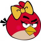 Angry Birds Iron Ons