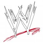 WWE Iron Ons