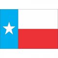 Texas State Flag Light Iron On Stickers (Heat Transfers)