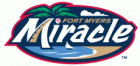 Fort Myers Miracle Iron Ons