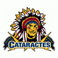 2008 09-Pres Shawinigan Cataractes Primary Logo Light Iron-on Stickers (Heat Transfers)