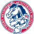 1995-Pres Southern Methodist Mustangs Alternate Logo Light Iron-on Stickers (Heat Transfers)