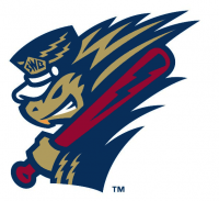 ScrantonWilkes-Barre RailRiders alternate logo(2013-pres) Light Iron-on Stickers (Heat Transfers) 04