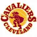 Cleveland Cavaliers Primary Logo  Light Iron-on Stickers (Heat Transfers)