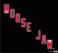 1985 86 Moose Jaw Warriors Wordmark Logo Light Iron-on Stickers (Heat Transfers)