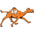 Campbell Fighting Camels 2008-Pres Alternate Logo Light Iron-on Stickers (Heat Transfers)