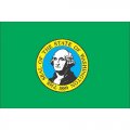 Washington State Flag Light Iron On Stickers (Heat Transfers)