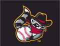 Quad Cities River Bandits cap logo (2008-2010)Light Iron-on Stickers (Heat Transfers) 02