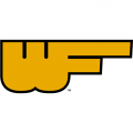 Wake Forest Demon Deacons 1968-1976 Alternate Logo Light Iron-on Stickers (Heat Transfers)