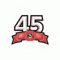 2011 12 Ottawa 67s Anniversary Logo Light Iron-on Stickers (Heat Transfers)