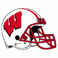 1991-Pres Wisconsin Badgers Helmet Logo Light Iron-on Stickers (Heat Transfers)