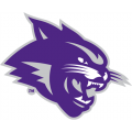 Abilene Christian Wildcats 2013-Pres Partial Logo Light Iron-on Stickers (Heat Transfers)