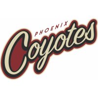 Phoenix Coyotes Script Logo  Light Iron-on Stickers (Heat Transfers)