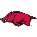 Arkansas Razorbacks 2001-Pres Alternate Logo2 Light Iron-on Stickers (Heat Transfers)