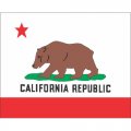 California State Flag Light Iron On Stickers (Heat Transfers)