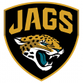 Jacksonville Jaguars 2013-Pres Alternate Logo Light Iron-on Stickers (Heat Transfers)