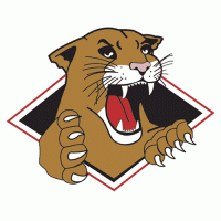 1996 97-2007 08 Prince George Cougars Primary Logo Light Iron-on Stickers (Heat Transfers)