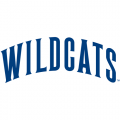 1991-Pres Villanova Wildcats Wordmark Logo Light Iron-on Stickers (Heat Transfers)