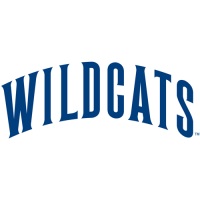 1991-Pres Villanova Wildcats Wordmark Logo Light Iron-on Stickers (Heat Transfers)