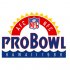 NFL Pro Bowl Primary Logo  Light Iron-on Stickers (Heat Transfers)