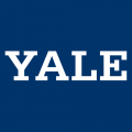 0-Pres Yale Bulldogs Wordmark Logo Light Iron-on Stickers (Heat Transfers)