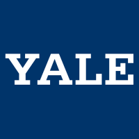 0-Pres Yale Bulldogs Wordmark Logo Light Iron-on Stickers (Heat Transfers)