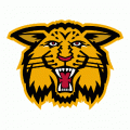 1998 99-2002 03 Moncton Wildcats Alternate LogoLight Iron-on Stickers (Heat Transfers)