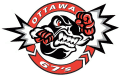 1998 99-Pres Ottawa 67s Primary Logo Light Iron-on Stickers (Heat Transfers)